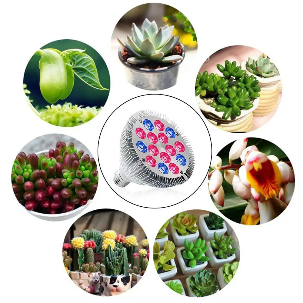 Светодиодсветильник лампа для выращивания растений E27 15 Вт|Лампочки фитоламп| |