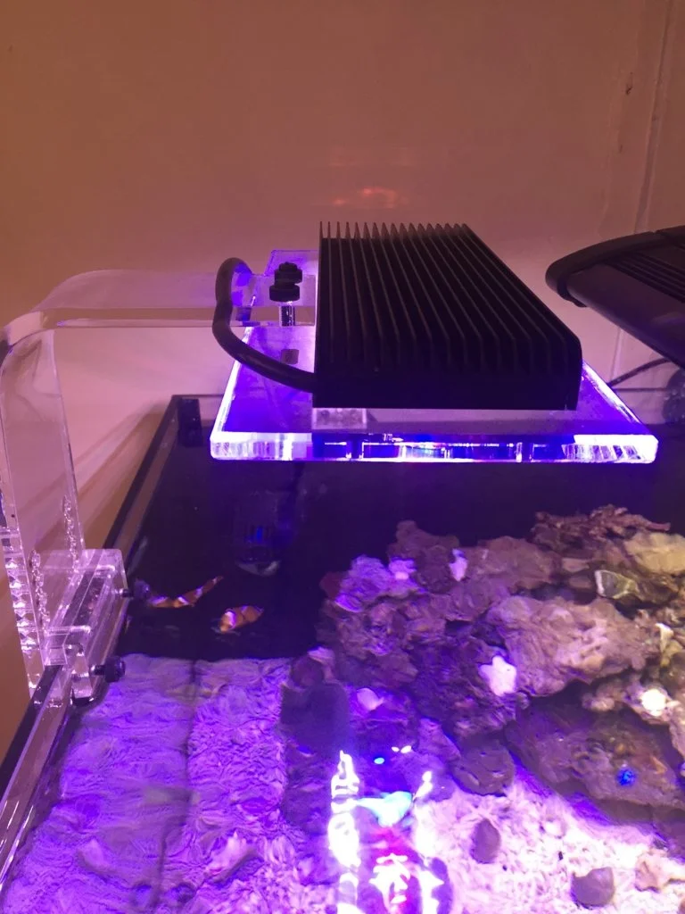 구매 수족관 암초 해수 조명 와이파이 LED 및 풀 스펙트럼 해수 산호초 램프, 앱 제어 조명을 통해. SPS LPS LED 조명 구매 수족관 암초 해수 조명 와이파이 LED 및 풀 스펙트럼 해수 산호초 램프, 앱 제어 조명을 통해. SPS LPS LED 조명