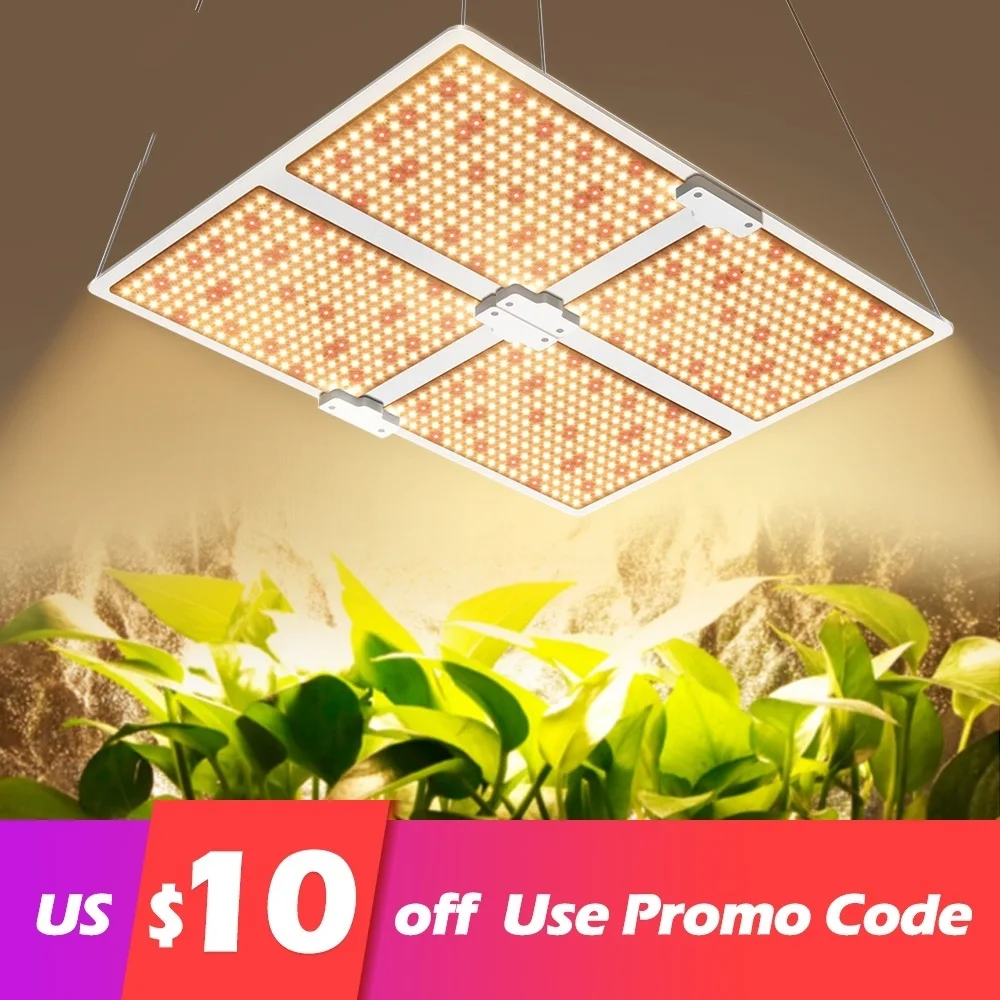 

LM281B Quantum LED Grow Light 2000W 4000W 6000W Full Spectrum Phyto Lamp For Greenhouse Hydroponic Plant Growth Lighting