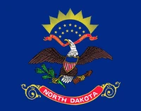 election 90x150cm north dakota flag for decoration