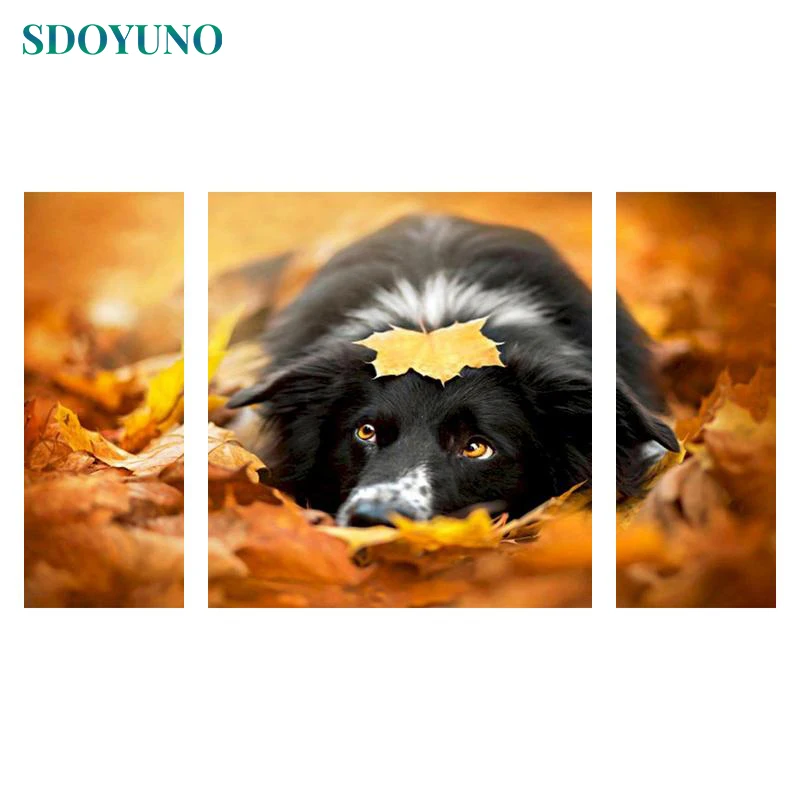 

Картина по номерам SDOYUNO 3 шт./компл. 50x8 0 см, рисование по номерам на холсте с собаками, животными, «сделай сам», безрамочные Масляные картины п...