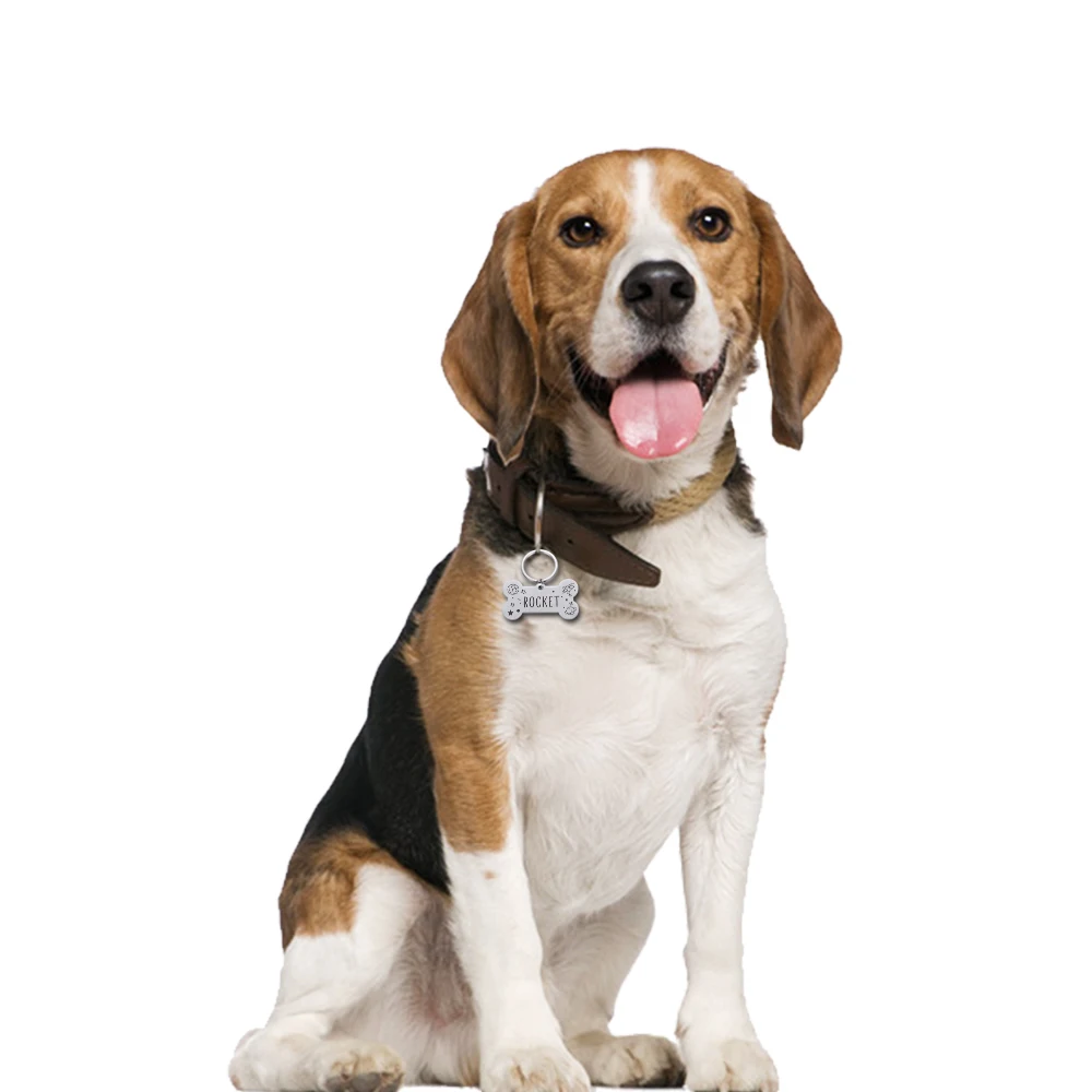 Индивидуальная идентификационная бирка для собак персонализированная с именем