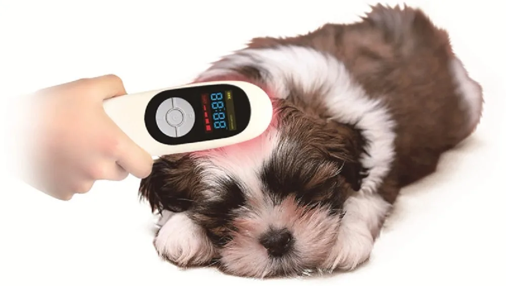

Bio-infrared laser treatment of pet joint tissue pain for healing