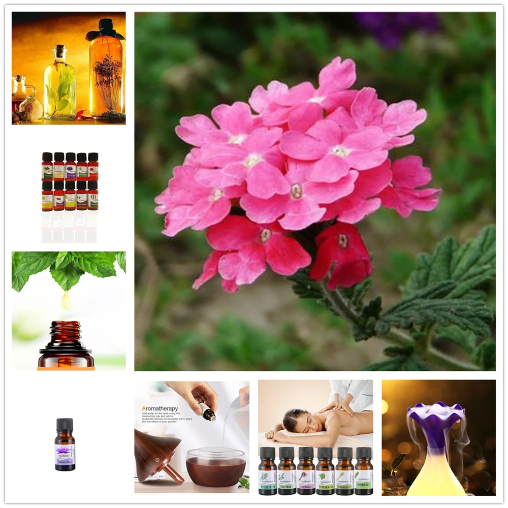 Водорастворимое эфирное масло магнолии для ароматерапии 10 мл|Эфирное масло| |