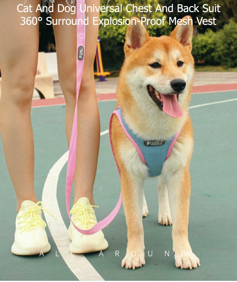 Светоотражающая шлейка для собак милый комплект из жилета и поводка ремень бега