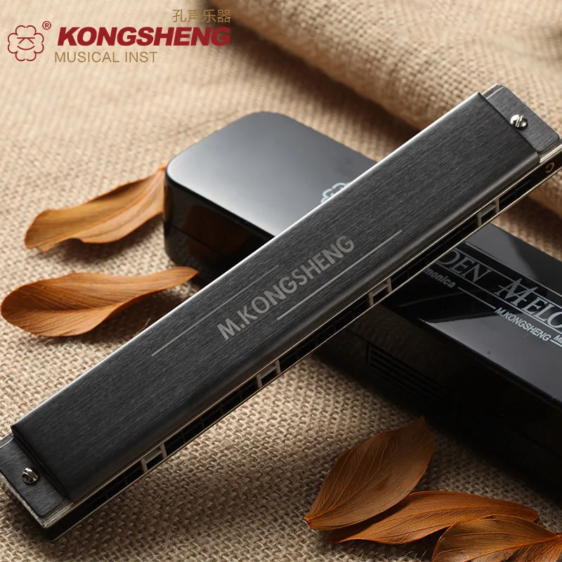 KONGSHENG 24 Отверстия тремоло губная гармоника Музыкальные инструменты Armonica Senior Профессиональный рот Ogan gaita де boca набор губных гармоник
