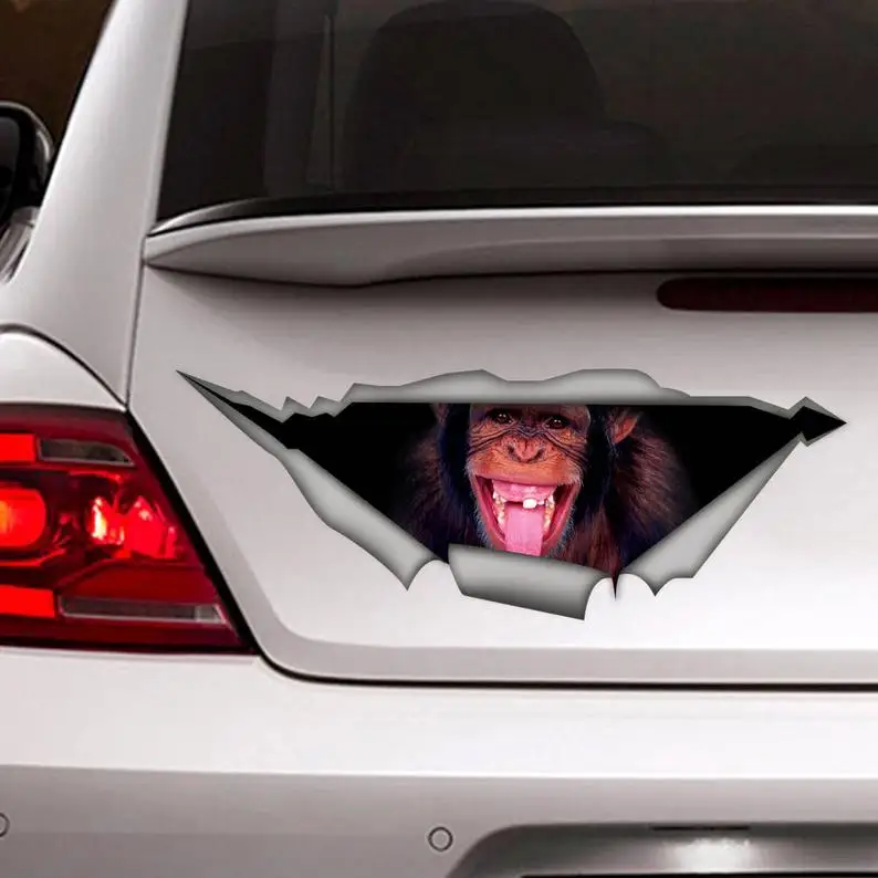 

2021 Monkey car Decal, funny car decal , animal Decal, Vinyl Decal