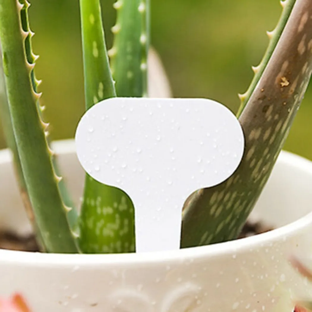 

Tags Gardening Labels 100pcs 7*5*3CM Garden Labels Markers Matte Finish