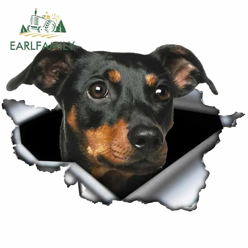 Миниатюрная Автомобильная наклейка EARLFAMILY Pinscher 3D рваная металлическая виниловая