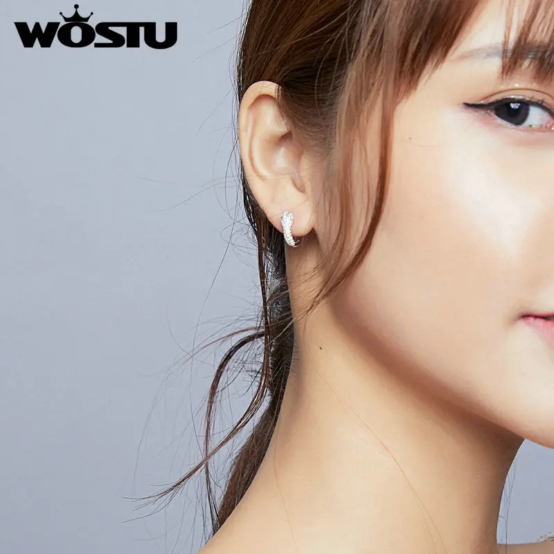 

WOSTU Original Design 925 Sterling Silver SnakeStud Earrings with Heart Cut Zircon 925 Silver Jewelry Stud Earrings