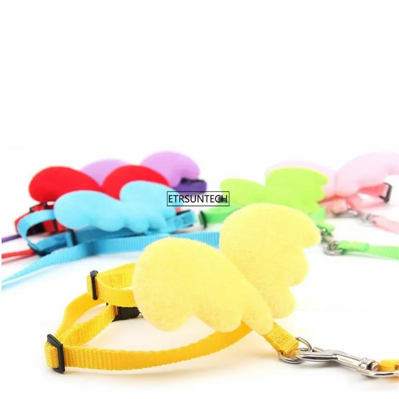 

100pcs Pet Angel Walking Traction Rope Puppy Dog Leash Belt Puppy Dog Cat Extending Running Leads Pet Training
