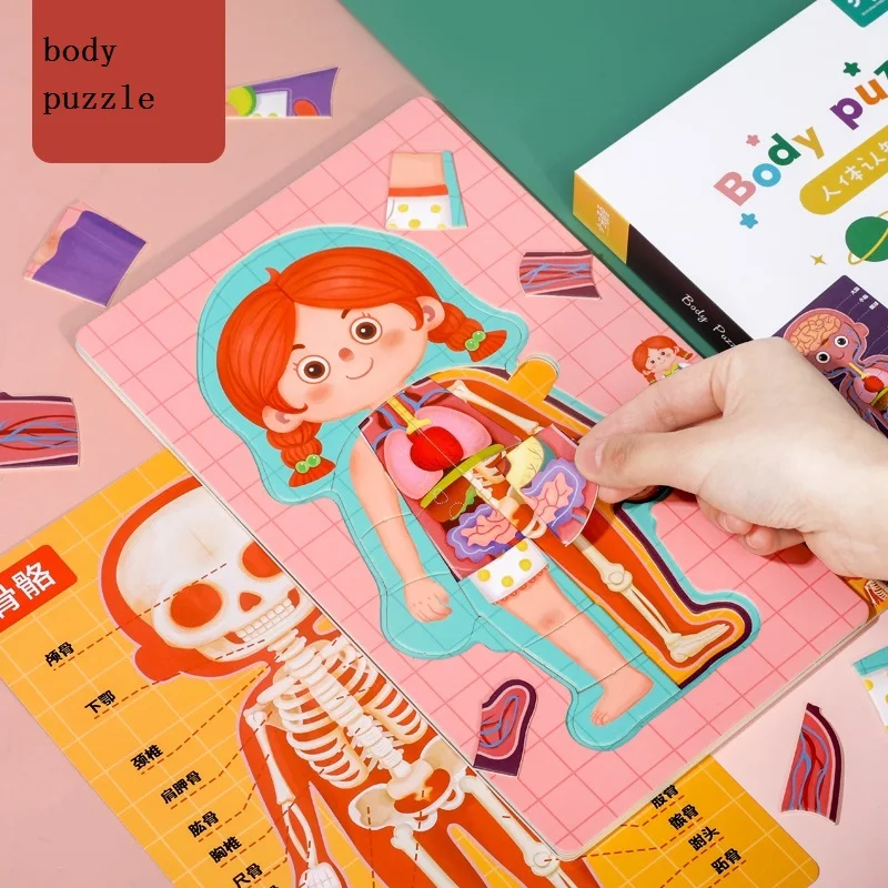 1 шт. игрушка-пазл в виде бумажного тела | Игрушки и хобби