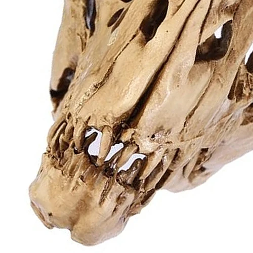 Лидер продаж! Смола череп динозавра окаменелости Преподавание модель скелета на