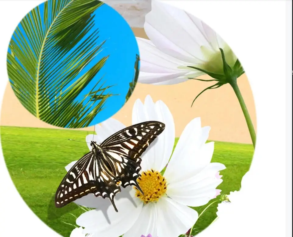 Настенные 3d обои для гостиной кокосовые волны и чайки на лужайке пляже домашний