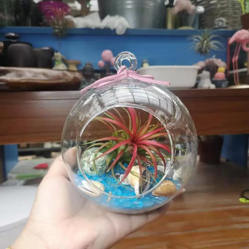

Big Packing Different Size Flat Bottom Glass Globe Candle Holder Fashion Wedding Decoration Glass Terrarium Vase