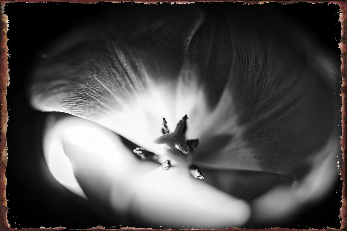 Жестяные таблички с цветком лотоса для медитации Настенный декор украшение