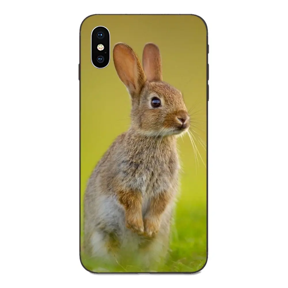 За счет складки мягкая модная сотового телефона чехол с кроликом Банни Двойной