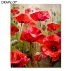 Цветы в рамке DIY живопись по номерам живопись и фотокартина Раскраска по номерам 40*50 см GX5736