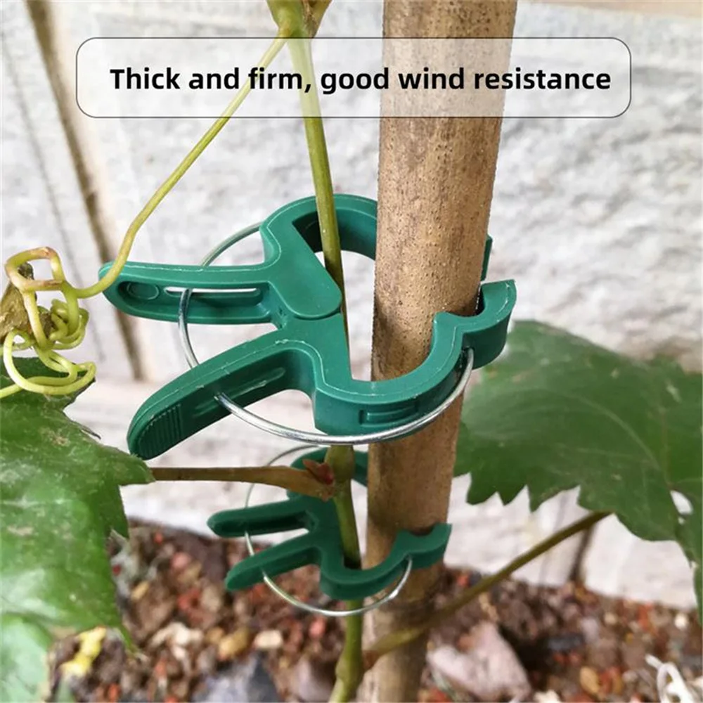 

Plant Support Clips Grafting Clips Greenhouse Clamp Stand Plastic Fastener Bracket Fixed Seed Stem Support Plant Grafting Stakes