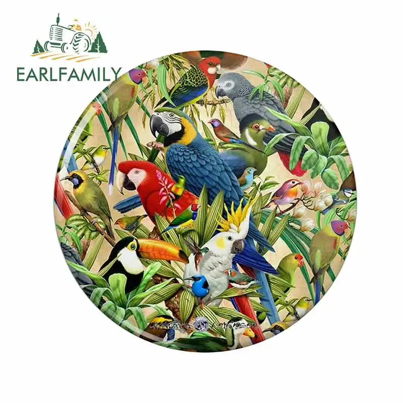 

EARLFAMILY 13 см x 13 см для попугая виниловая графическая наклейка Campervan автомобильные наклейки «сделай сам» модный вытяжной цветок окклюзия Деко...