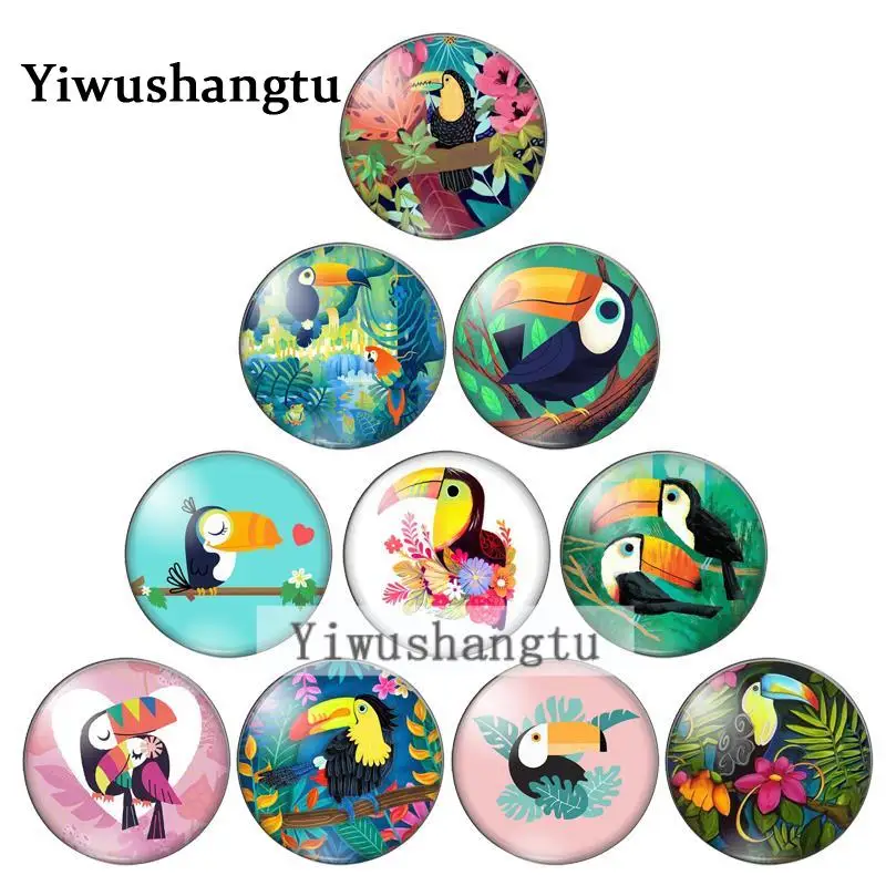 Очаровательные птицы Ramphastos toco, 10 шт., 10 мм/12 мм/18 мм/20 мм/25 мм, круглые, стеклянные, кабошоны, демонстрация, плоская задняя часть, ZB0543 Очаровательные птицы Ramphastos toco, 10 шт., 10 мм/12 мм/18 мм/20 мм/25 мм, круглые, стеклянные, кабошоны, демонстрация, плоская задняя часть, ZB0543