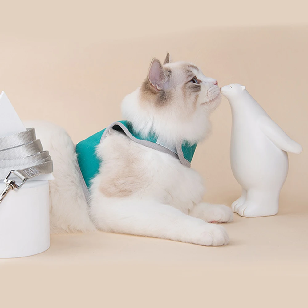 

Lovely Clothes Dog Leash Nylon Pet Leash For Dog & Cat Running Or Training Collar Harness Pechincha Correa Perro Szelki Dla Psa