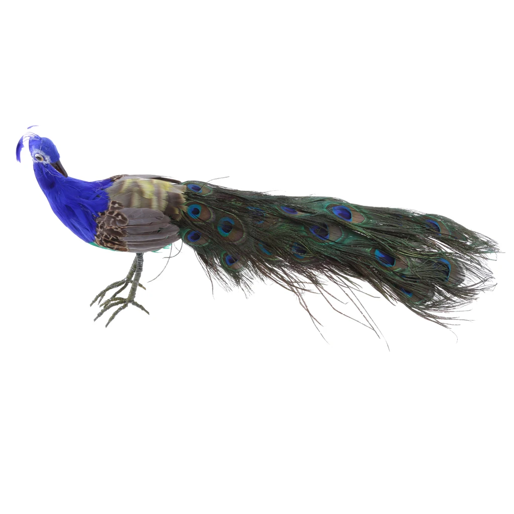 

Vivid Artificial Peacock Bird Realistic Taxidermy Home Garden Decoration, turning head