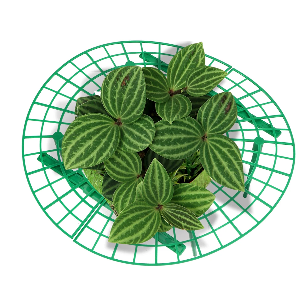 

Подставка для фруктов, подъемник для растений, цветов, лозы, пластиковая подставка для клубники, поднос для растений 5 шт./компл.