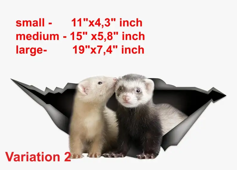 

2021 Ferret car Decal, Pet decal , Vinyl Decal, Car Decal, funny decal, ferret sticker, Laptop Decal