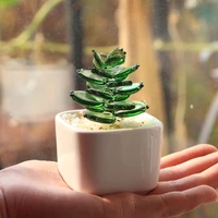 handmade glass succulent cactus bean sprouts office glass small decoration micro landscape simulation bonsai plants