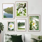 Природный пейзаж горы Река Озеро цветок настенная живопись холст скандинавские плакаты и принты настенные картины для декора гостиной