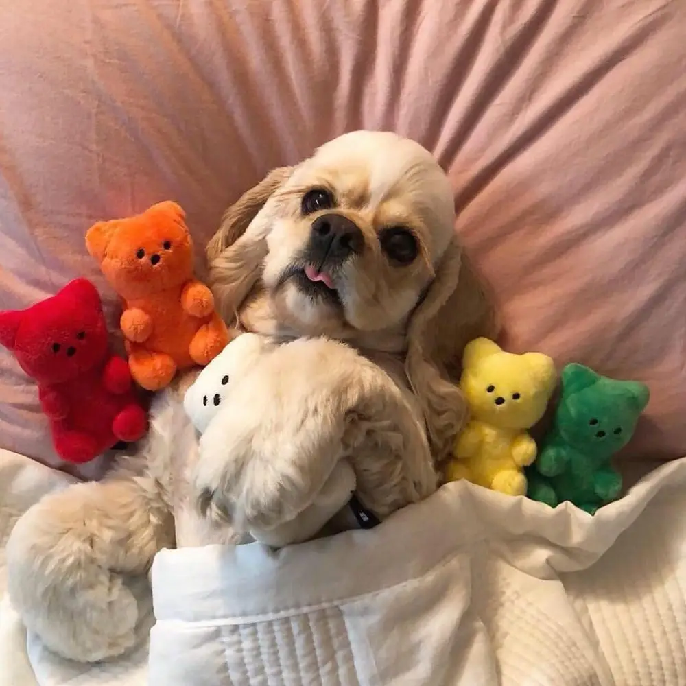 Корейские игрушки в стиле гумми медведи плюшевая игрушка для собак и кошек