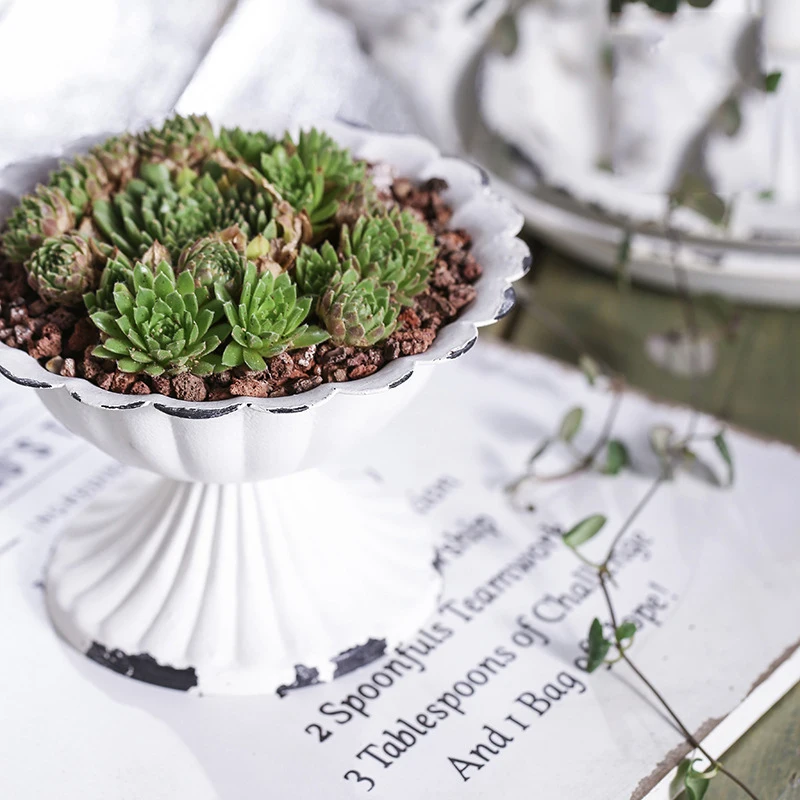 Классический цветочный горшок специальная железная чашка белый маленький для