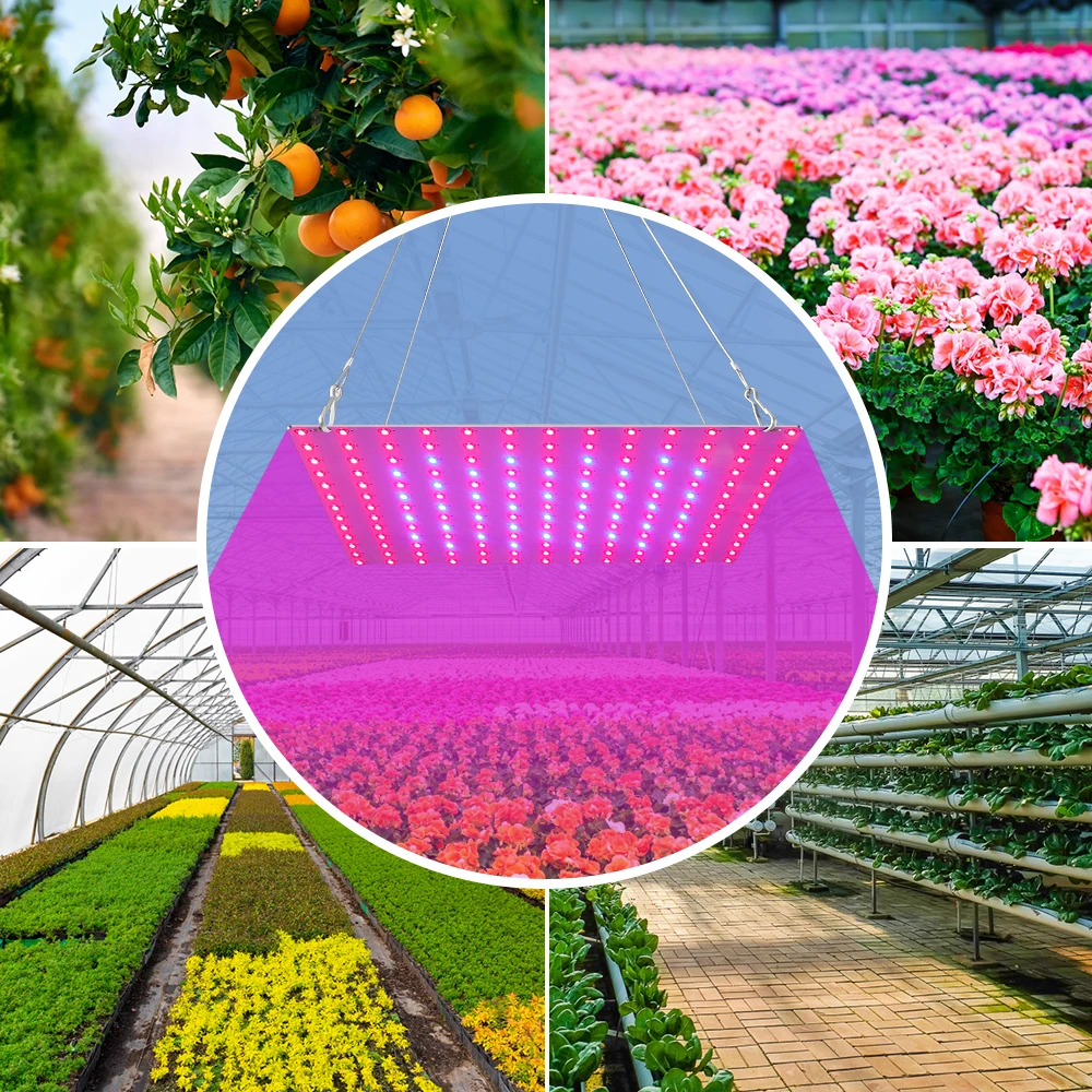 

220V LED Phyto Lamp 20W 40W High Power Plant Lighting LED Growth Lamps For Cultivate Vegetable Flower LED Plants Light EU Pulg