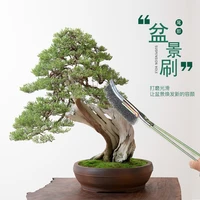 bonsai shape brush model plant pots cleaner gadgets garden tools