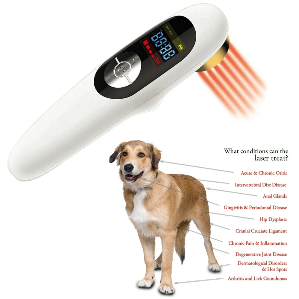 Собака лошадь кошка Животные Pet облегчение боли LLLT терапия устройство 808nm