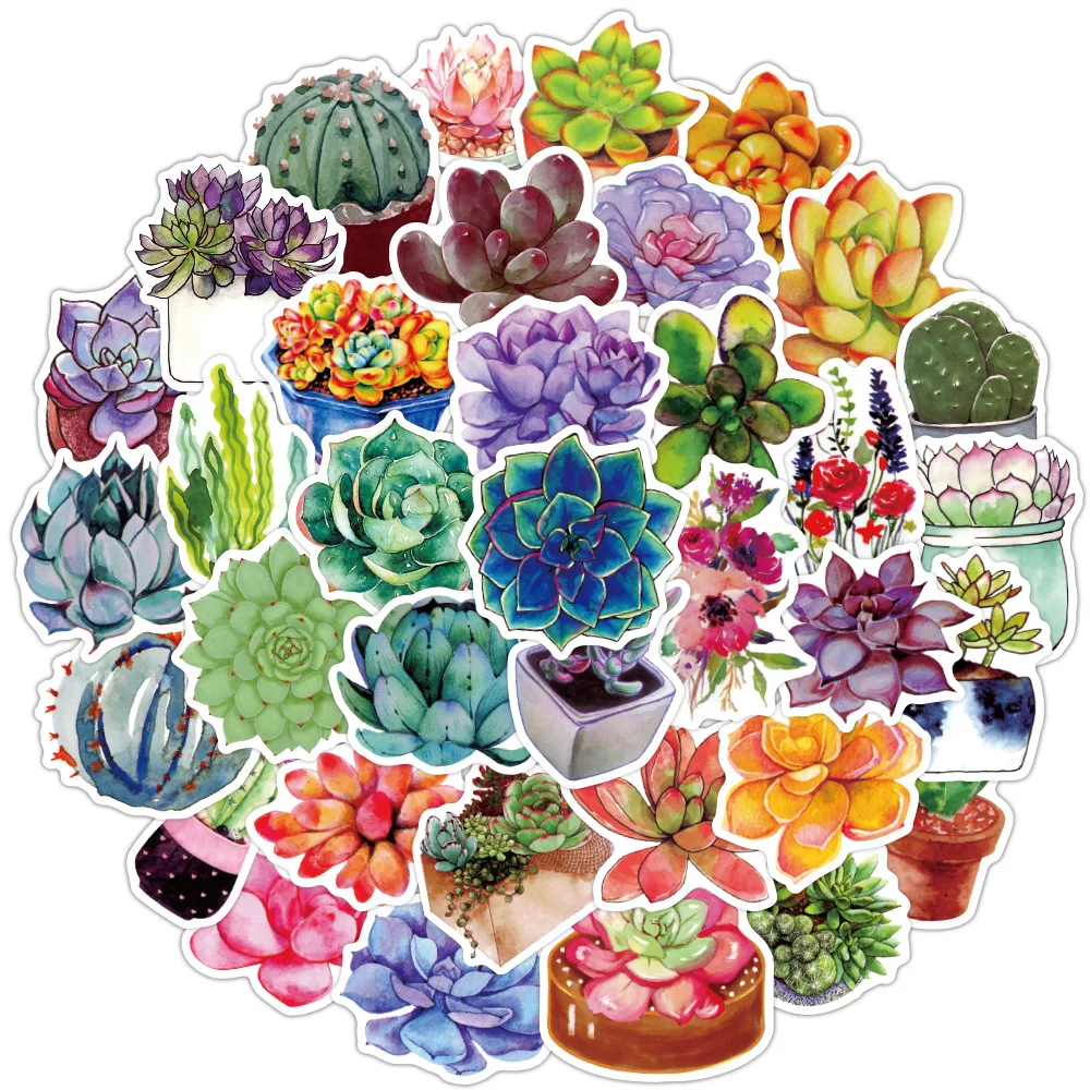 Наклейки с суккулентами для скейтборда гитары ноутбука чемодана телефона