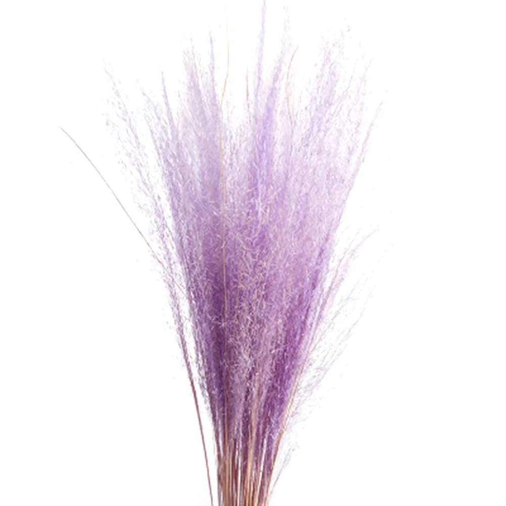 Сухие цветы с 50 стеблями маленькая пампасная трава сухие букет для свадьбы