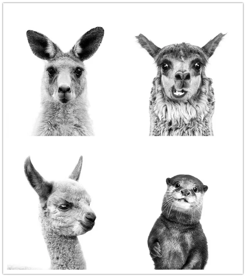 5D Сделай Сам черный и белый кенгуру Альпака овечья выдра ленивая Алмазная