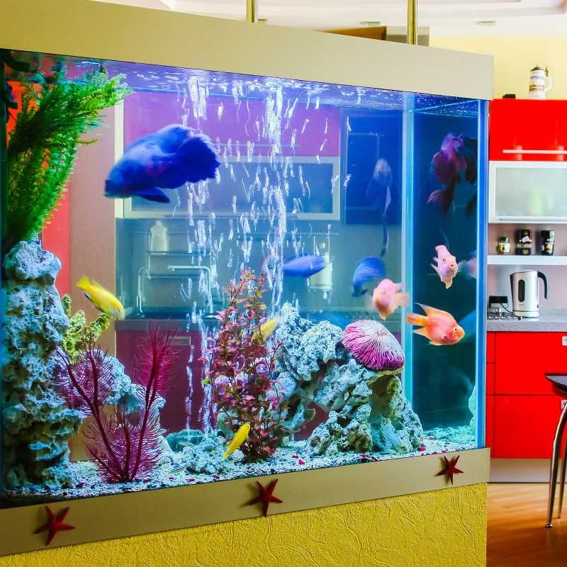 Аквариумный светильник светодиодный RGB 32 см аквариумный 12 в пост. Тока для