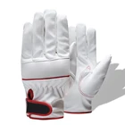 QIANGLEAF брендовые белые рабочие перчатки, уличная защита водителя, осенне-зимние сохраняющие тепло варежки, мужские рабочие перчатки для верховой езды SB201
