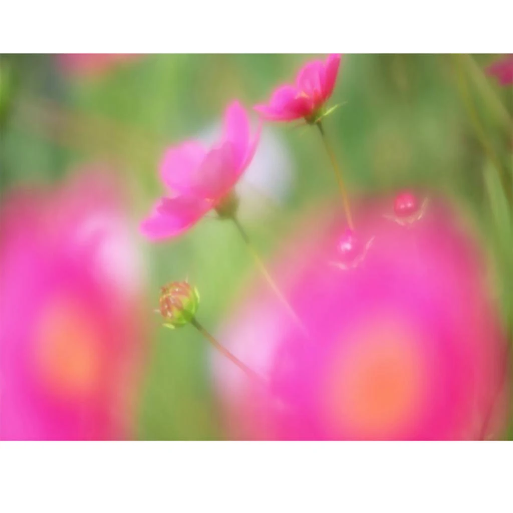 ZOMEI 52/55/58/62/67/72/77/82 мм Dreamy Hazy Soft Focus СПЕЦИАЛЬНЫЕ диффузор портретный объектив фильтр для цифровой зеркальной камеры Nikon Canon цифровых однообъективных зеркальных камер и однообъективных зеркальных Камера