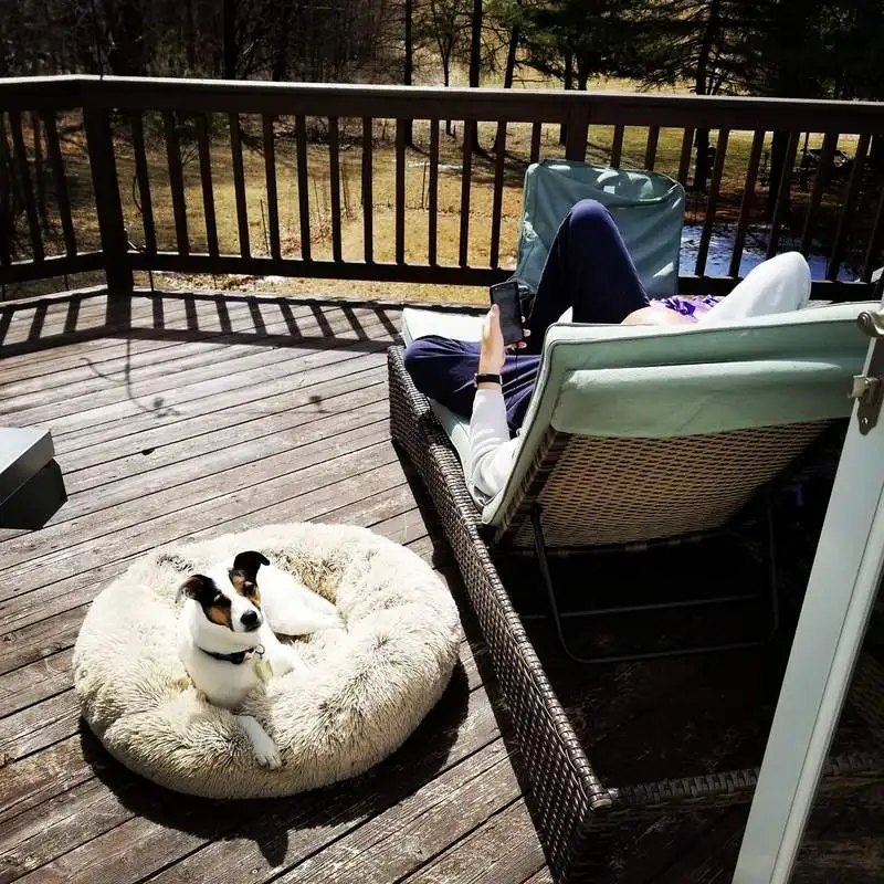 Круглая длинная плюшевая кровать для собак в форме пончика сверхмягкая моющаяся