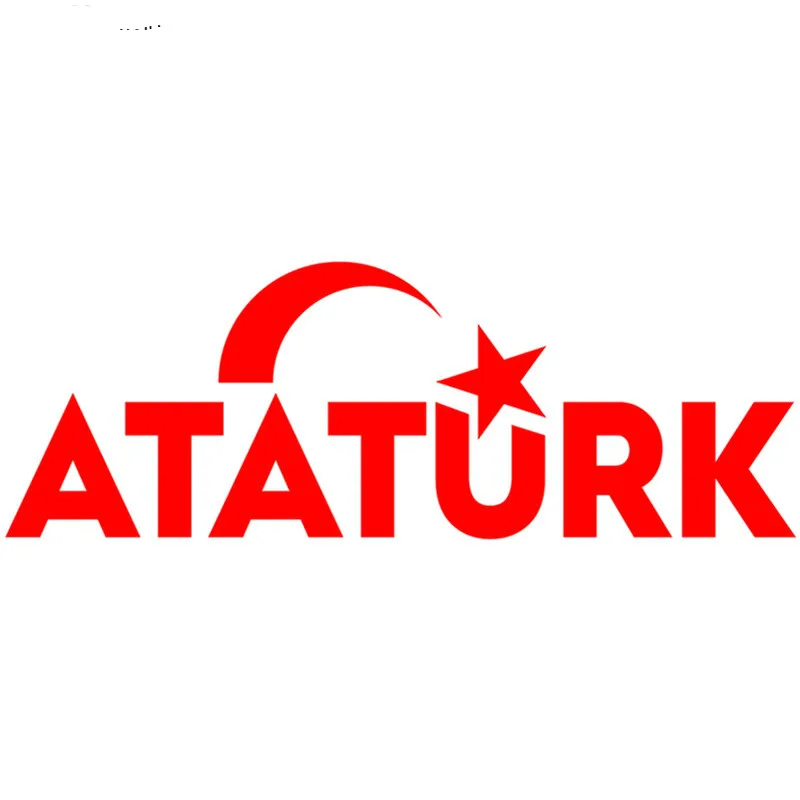 Автомобиль для Авто/бампер/окно виниловая наклейка наклейки DIY Декор CT313 |