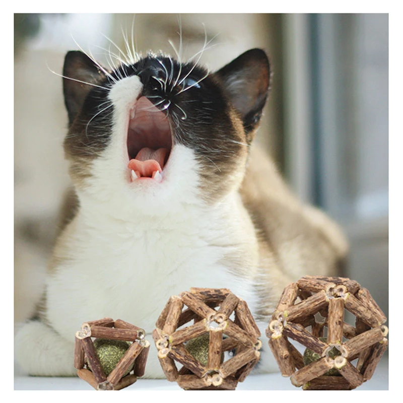 

Molar Rod Polygama Pet Cat Supplies Catnip Ball Cat Toy Interactive Toys Bell Balls Healthy Matatabi Teeth Kitten Toys Fashion