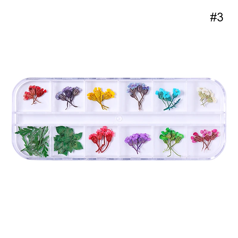 Pattern 14 1 коробка, сушеные цветы, лист, украшение для ногтей, натуральный цветочный стикер, 3D, сухая красота, наклейки для ногтей, ювелирное изделие, УФ Гель-лак для маникюра - Цвет: Pattern 14