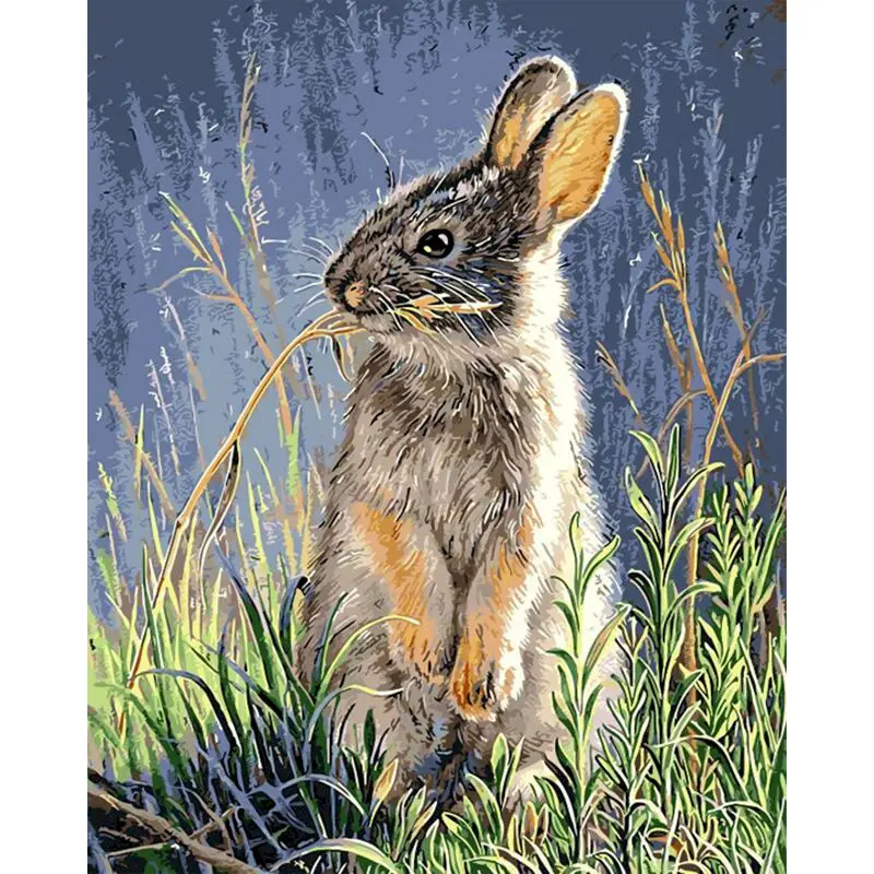 

GATYZTORY Frame Cute Rabbit DIY Painting By Numbers Home Wall Art Picture Paint By Numbers Calligraphy Painting 60x75cm Artwork