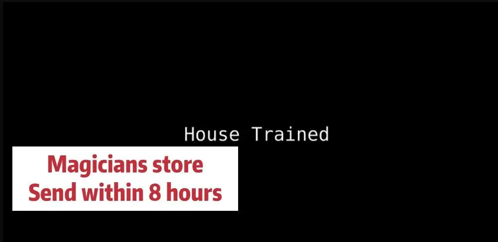 

2020 House Trained by Andrew Ffost - Magic Tricks