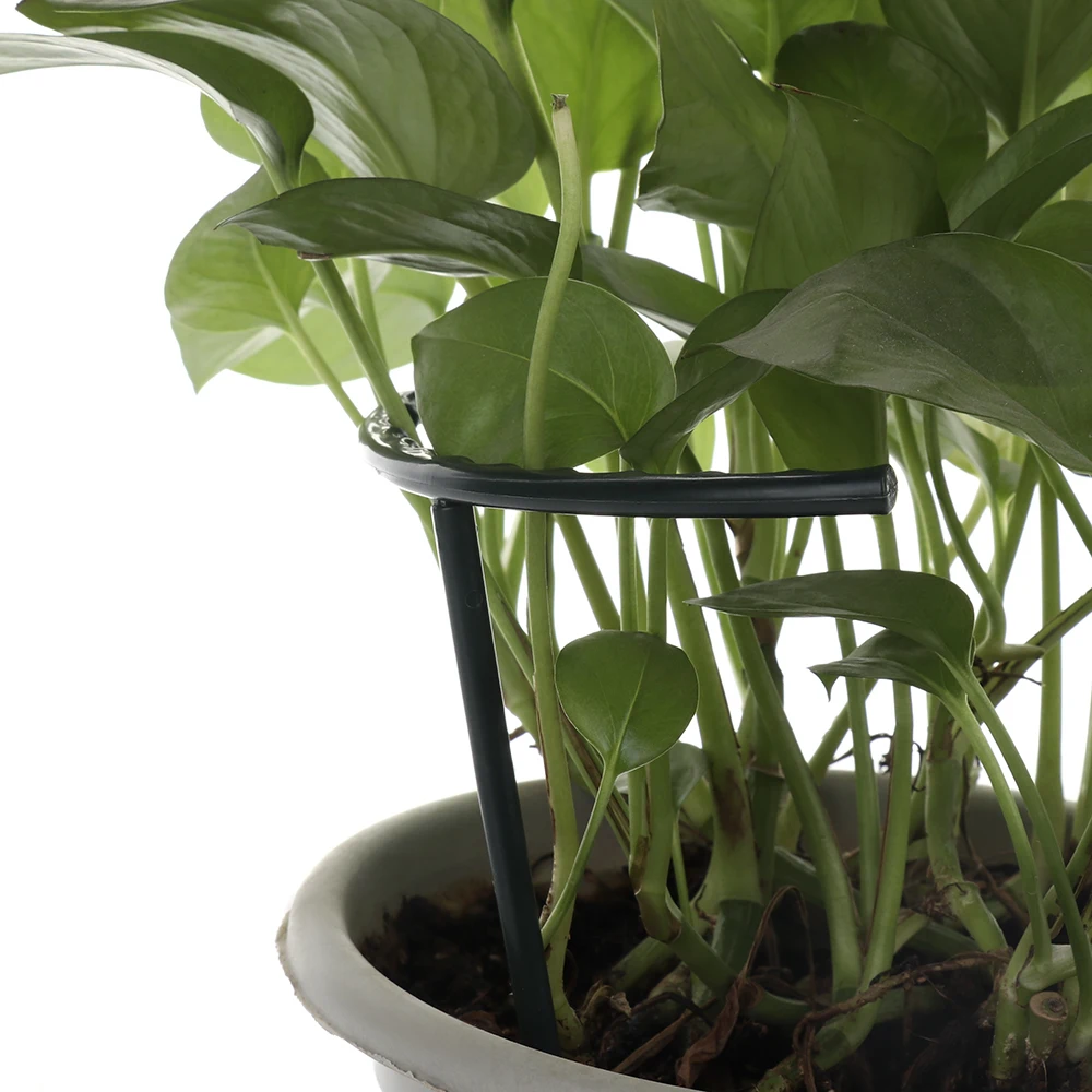 2 шт./6 шт. пластиковые подставки для растений|Опоры и поддержки растений| |