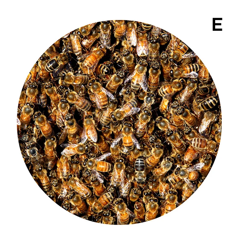 Модные соты ковры коврики пчелы печати пол Mattextile для дома ванной спальня